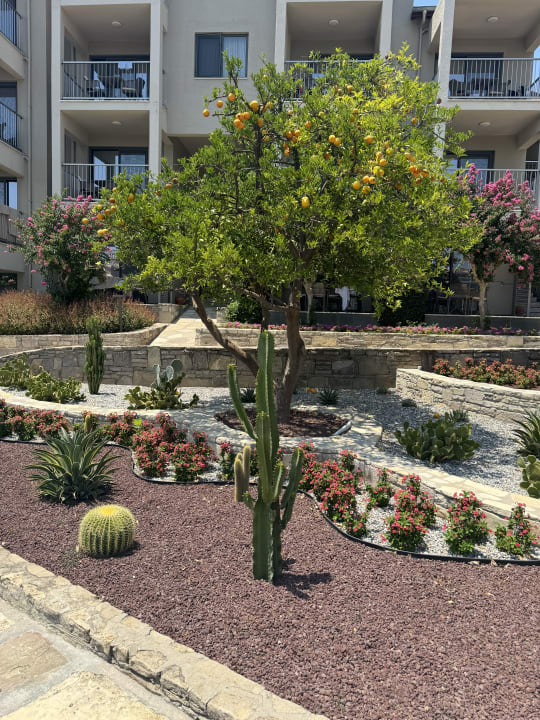 Gartenanlage Arum Barut Collection