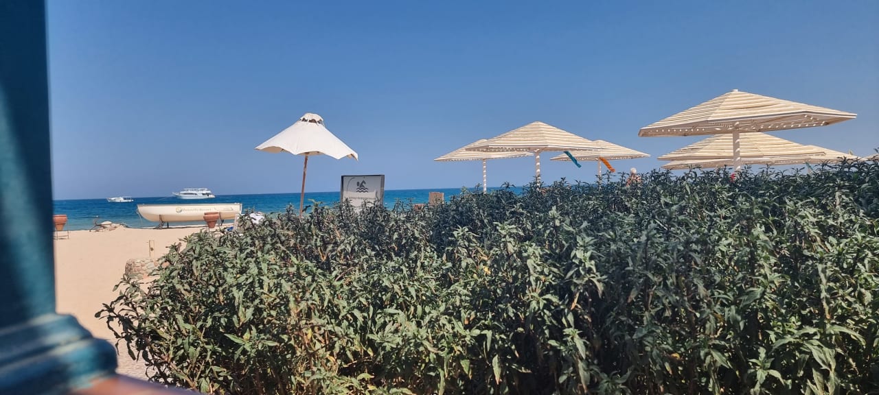 Strand Menaville Safaga