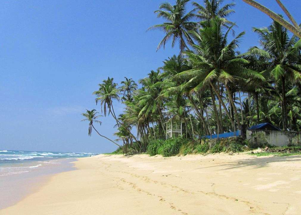 Traumstrand Hotel Haus am Meer Wilde Ananas
