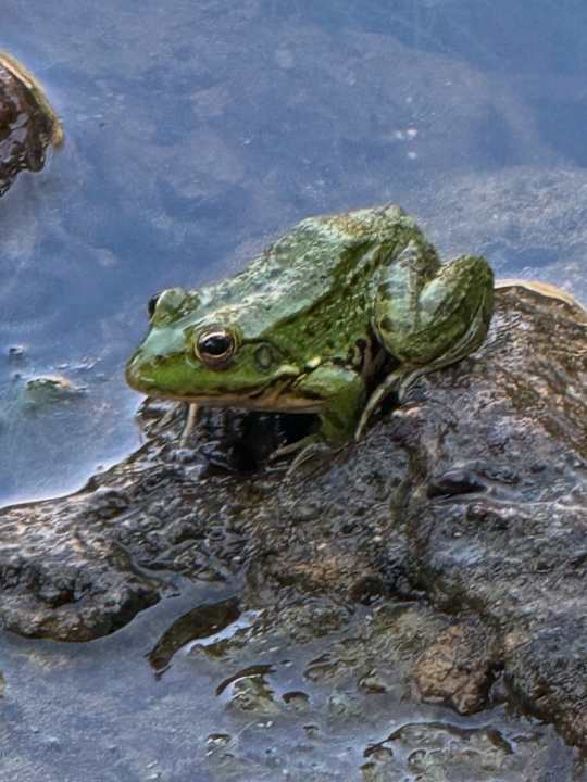 Gartenanlage Club Resort Atlantis