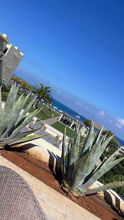 Gartenanlage Grecotel Meli Palace