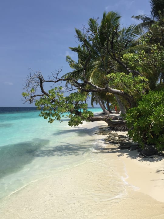 Strand Vilamendhoo Island Resort & Spa