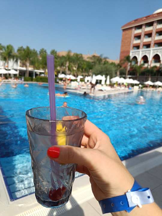 Pool Royal Taj Mahal Hotel