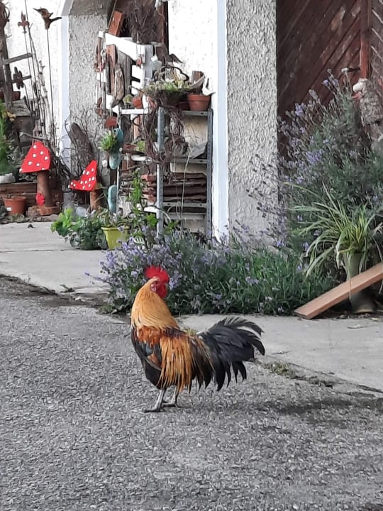 Gartenanlage Irgenbauernhof