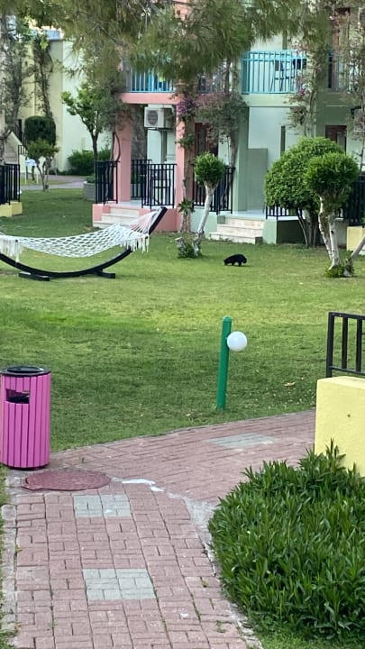 Gartenanlage VONRESORT Golden Beach