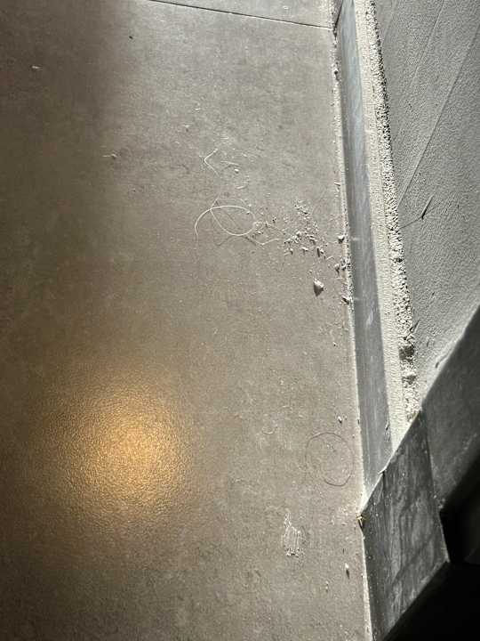 Zimmer Paloma Finesse