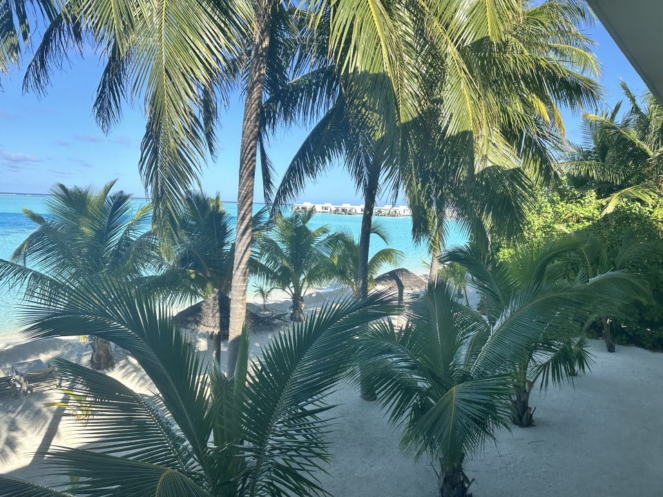 Ausblick Hotel Riu Atoll