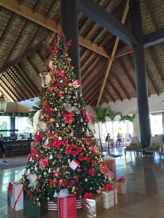 Lobby Punta Cana Princess All Suites Resort & Spa