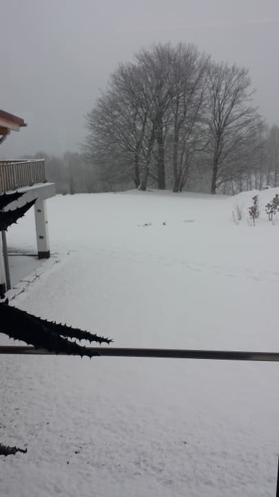 Ausblick von einem der Ruheräume 1. Bier & Wohlfühlhotel Gut Riedelsbach