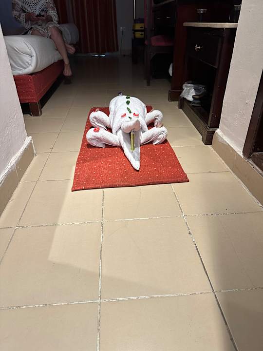 Zimmer Riviera Aqua Park Resort