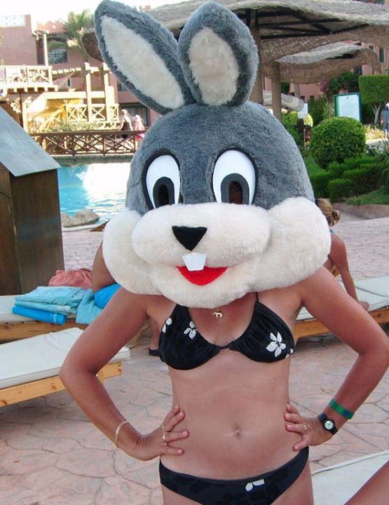 Kic kic króliczku Rehana Sharm Resort Aqua Park & Spa