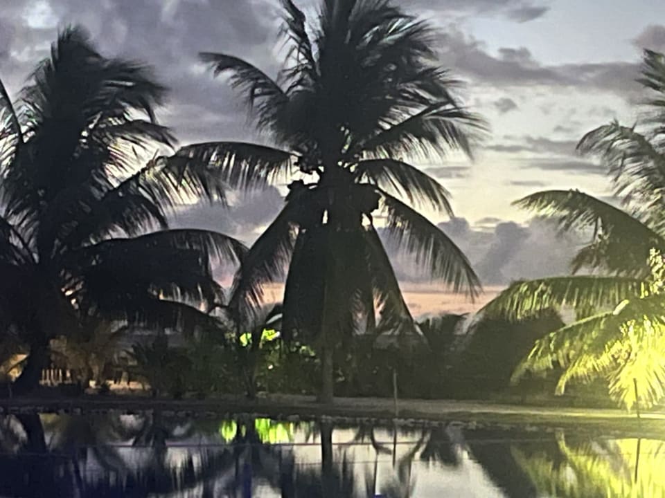 Gartenanlage South Palm Resort Maldives