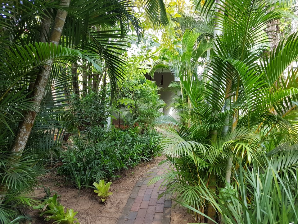 Gartenanlage St. Lucia Kingfisher Lodge