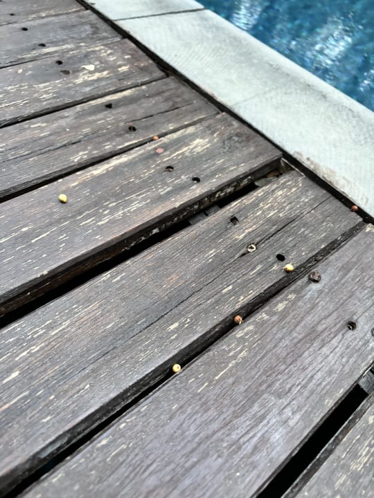 Zimmer SAii Koh Samui Villas (adult only 12+)