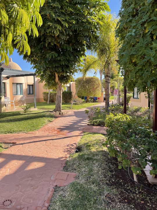 Gartenanlage allsun Hotel Esplendido