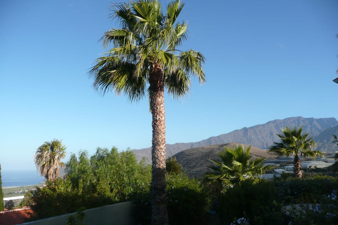 Blick von Terrasse Bungalow 6 Bungalows El Paradiso