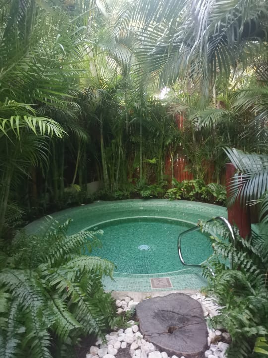 Pool Akumal Bay Beach & Wellness Resort