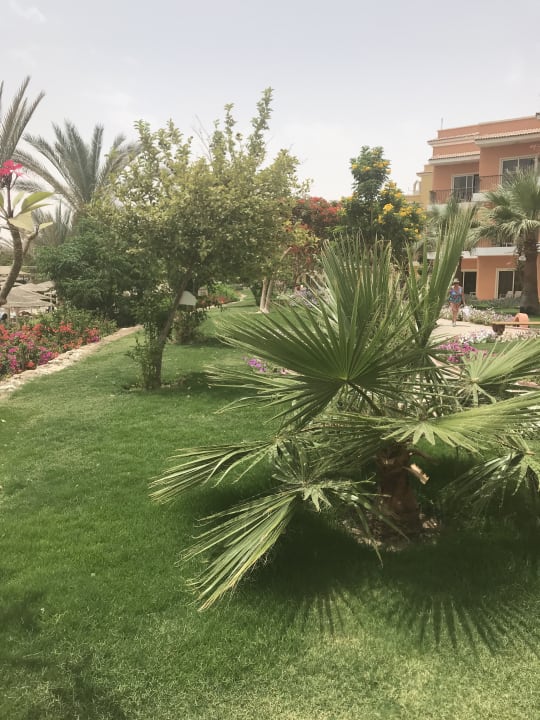 Gartenanlage Three Corners Sunny Beach Resort