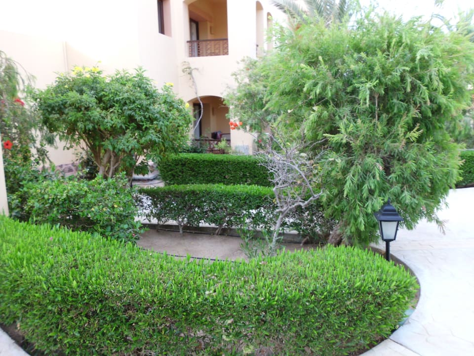 Gartenanlage Steigenberger Coraya Beach - Adults only