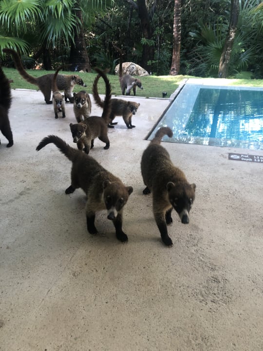 Sonstiges Blue Diamond Luxury Boutique Hotel