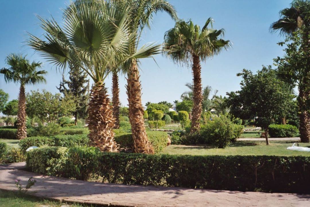 Gartenanlage Lotus Bay Beach Resort