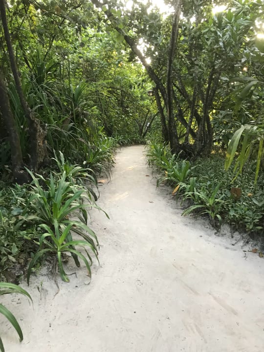 Insel Inneres NH Collection Maldives Reethi Resort