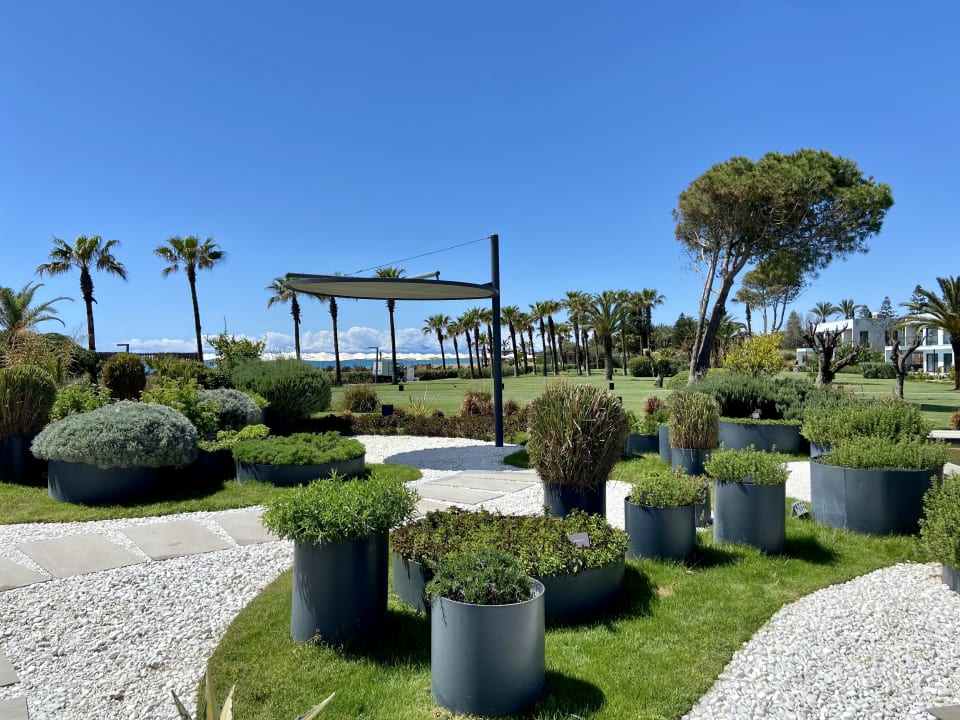 Gartenanlage Paloma Finesse