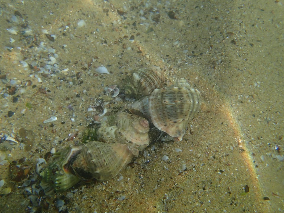 W morzu przy plaży Sol Luna Bay
