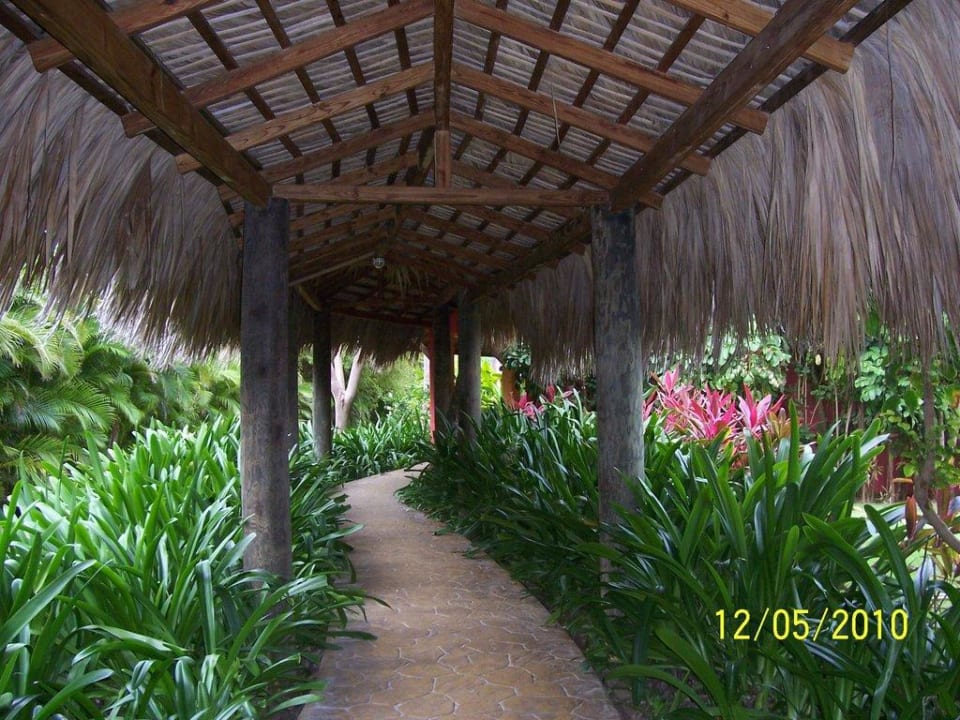 Durchgänge zwischen den Wohnblöcken Punta Cana Princess All Suites Resort & Spa