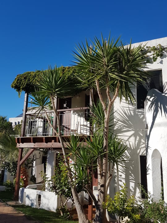 Außenansicht Kalypso Hotel