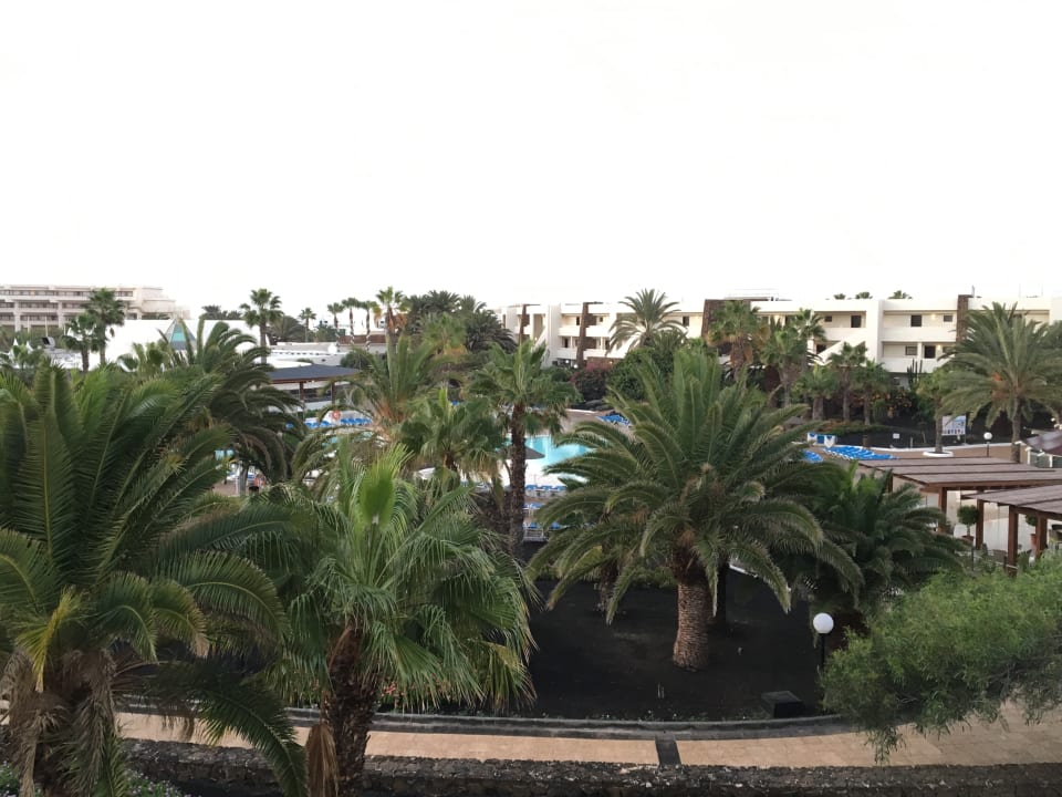 Gartenanlage Los Zocos Impressive Lanzarote