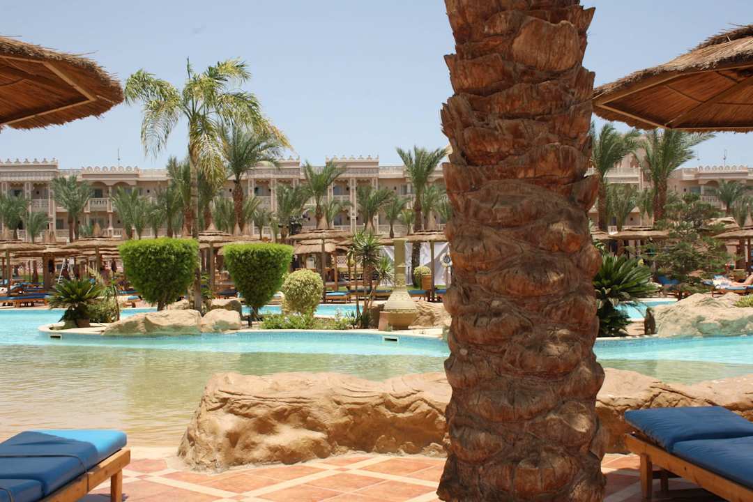 * Pickalbatros Palace Resort