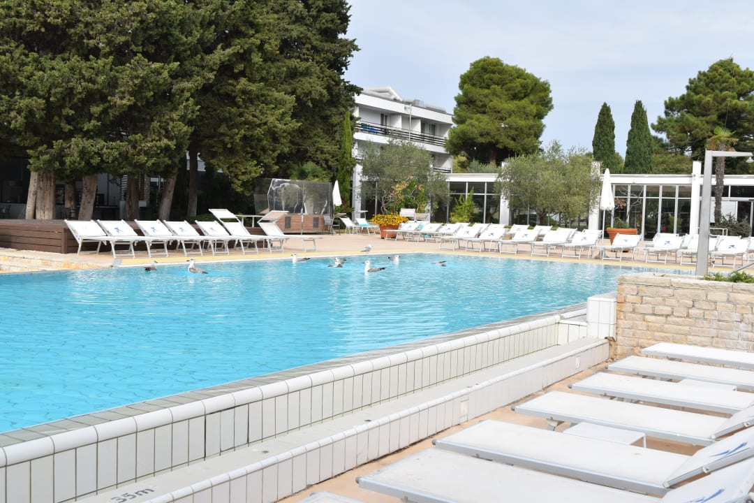 Pool Falkensteiner Club Funimation Borik