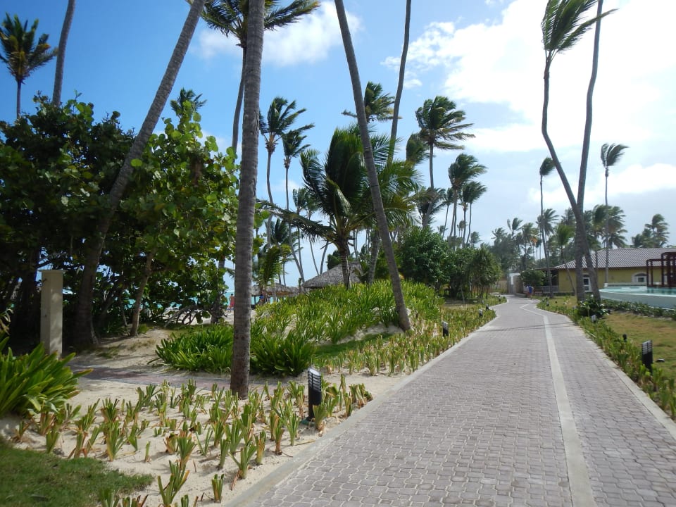 Einer von vielen Wegen zu den anderen Hotels Grand Palladium Select Bávaro Resort & Spa