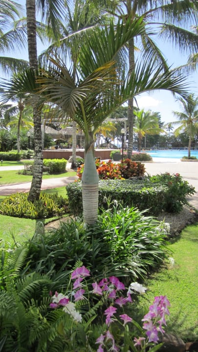 Garten Dreams La Romana Resort & Spa