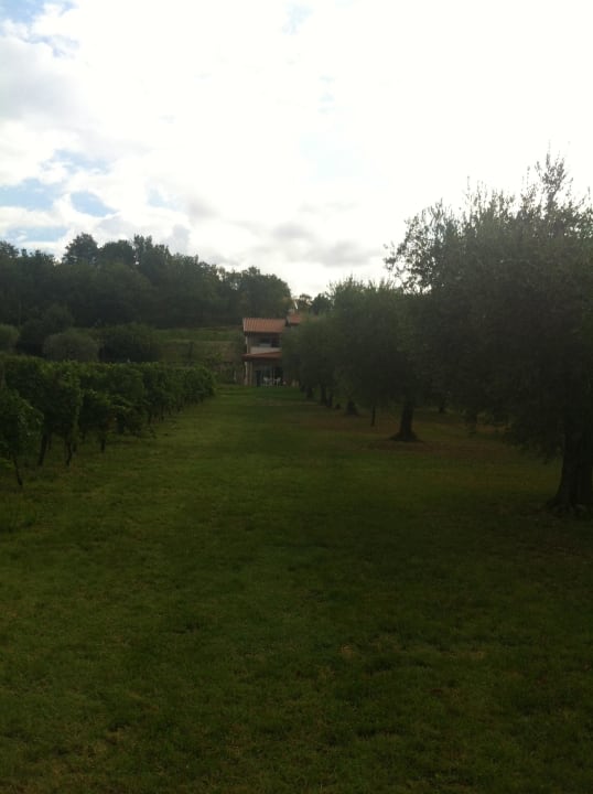 Blick vom Garten Holiday Home Quercia Belvedere Relais