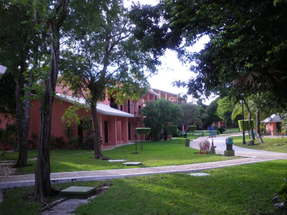 Hotel Hotel Riu Lupita