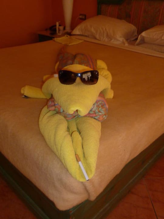 Das Hauskrokodil Arabia Azur Resort