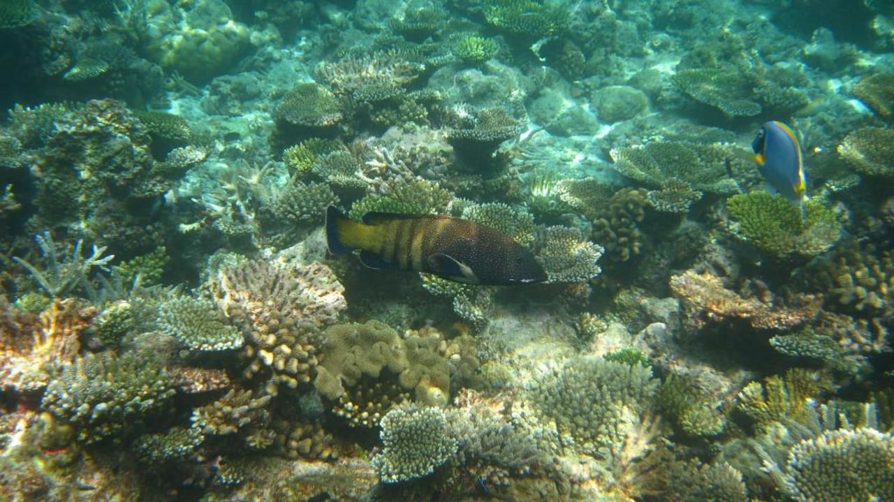 Riff Thulhagiri Island Resort Thulhagiri Island Resort