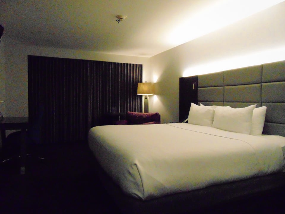 Zimmer Hotel Crowne Plaza San Jose Corobici