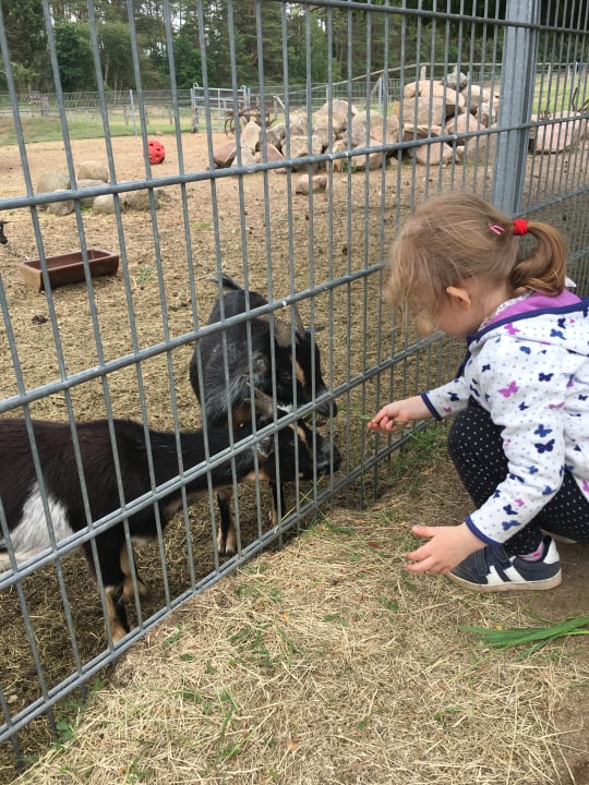Sport & Freizeit Landhotel Borstel-Treff