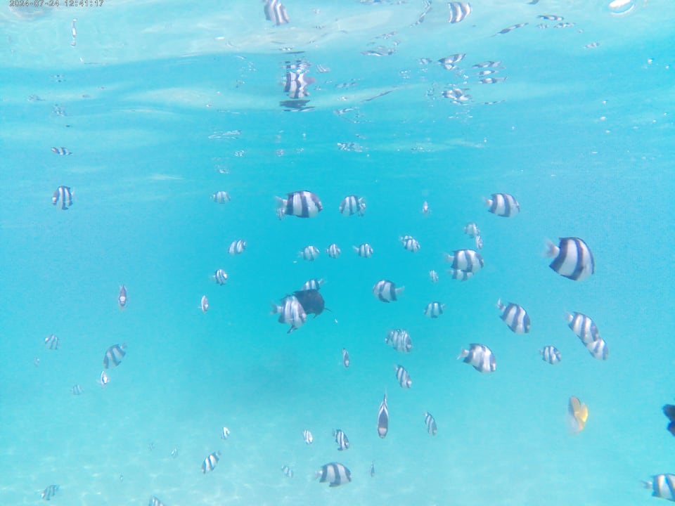 Sonstiges Jaz Makadi Oasis Resort