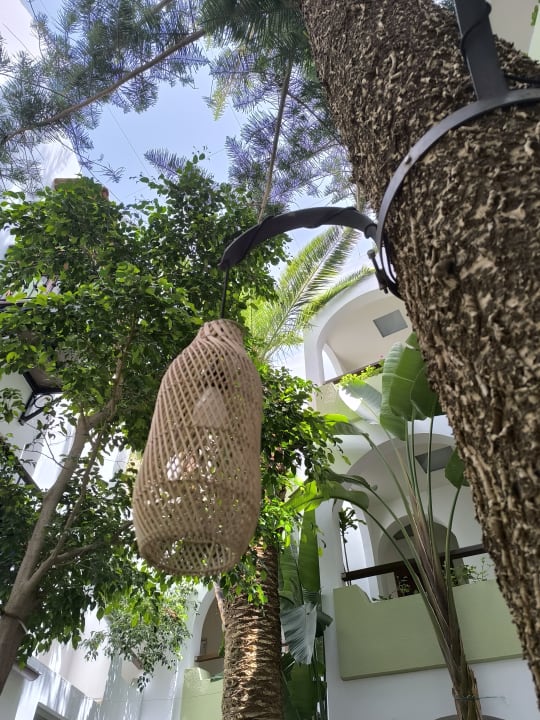 Lobby Alianthos Garden Hotel