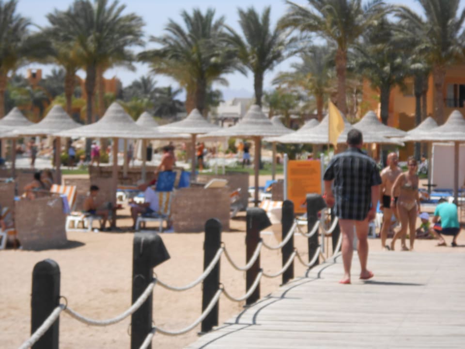 Und zurück zum Strand Stella Beach Resort & Spa Makadi Bay