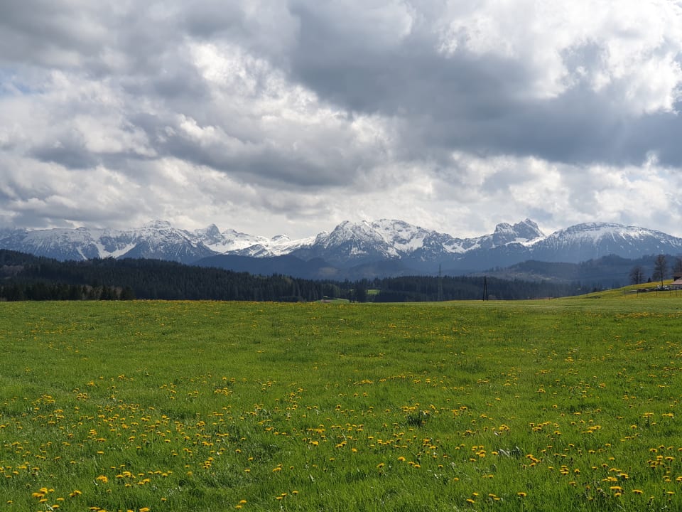 Ausblick Landhotel Seeg
