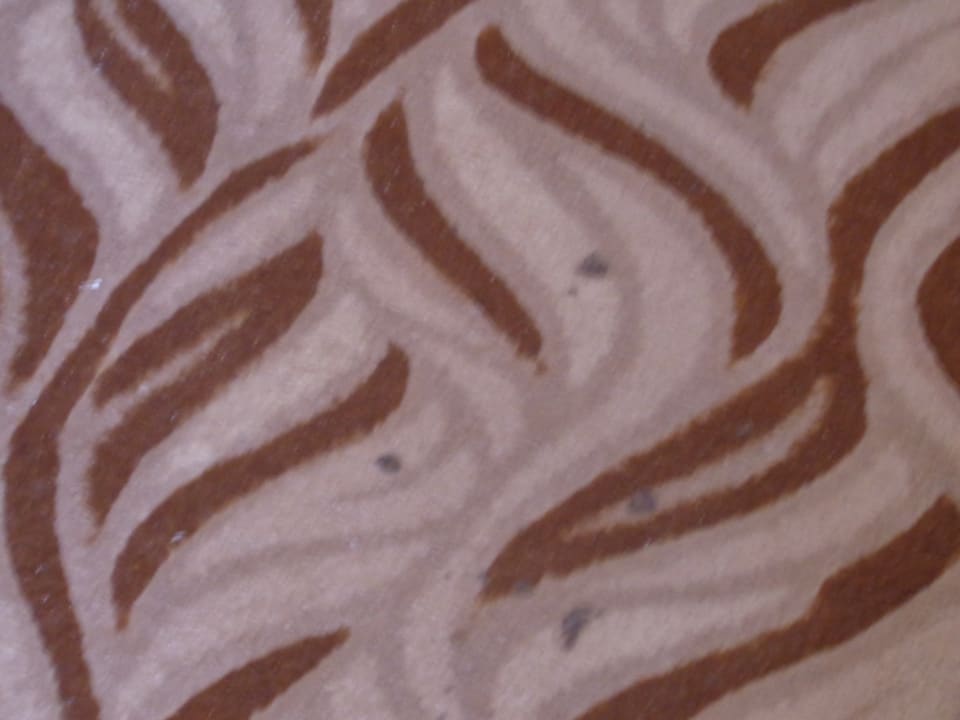 Zimmer Coral Hills Resorts & SPA