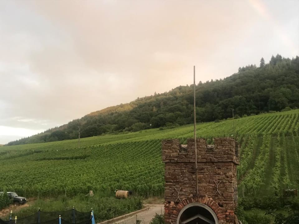 Ausblick Hotel Filla Andre