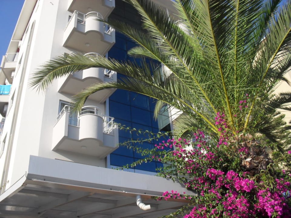 Hotel Kleopatra Celine Kleopatra Celine Hotel