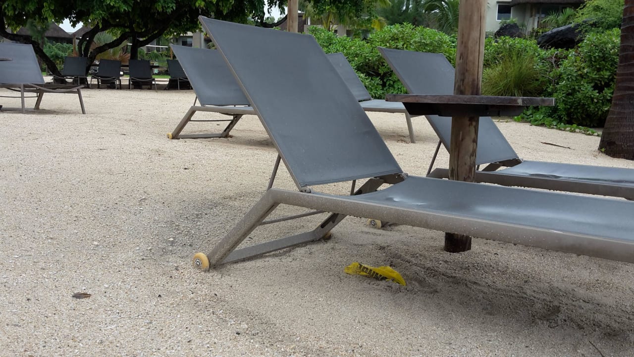 Strand Zilwa Attitude