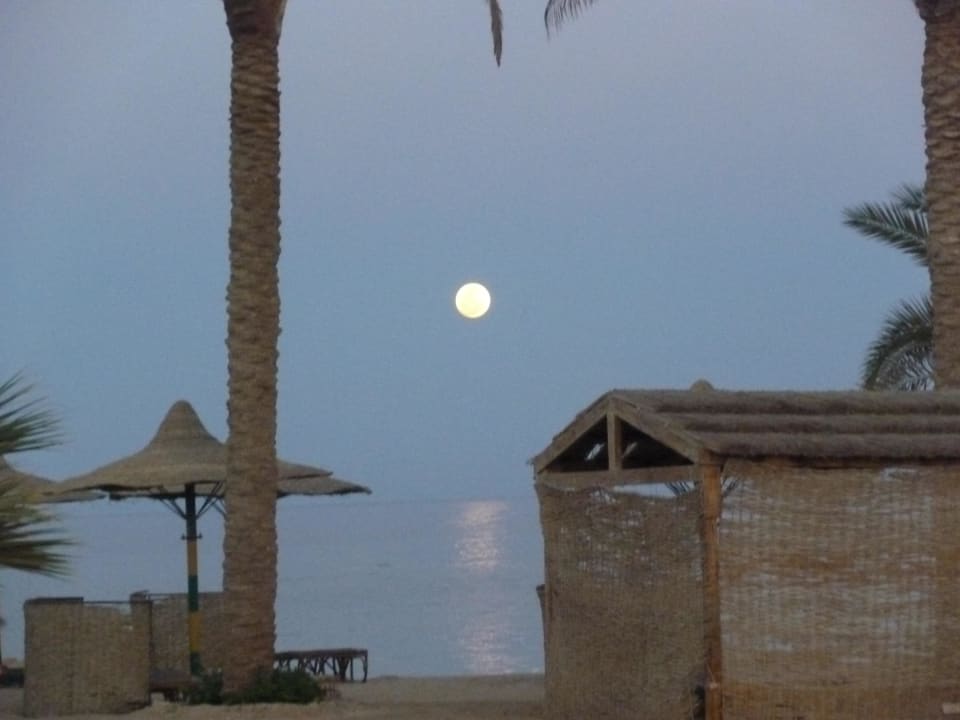 Mondaufgang am Strand Flamenco Beach & Resort